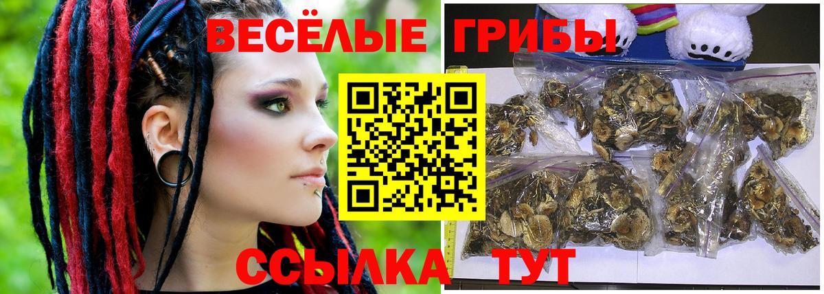 как найти закладки  Вход с VPN  Саранск  Галлюциногенные грибы прущие грибы  Псилоцибиновые грибы GOLDEN TEACHER 